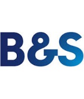 logo B&S International